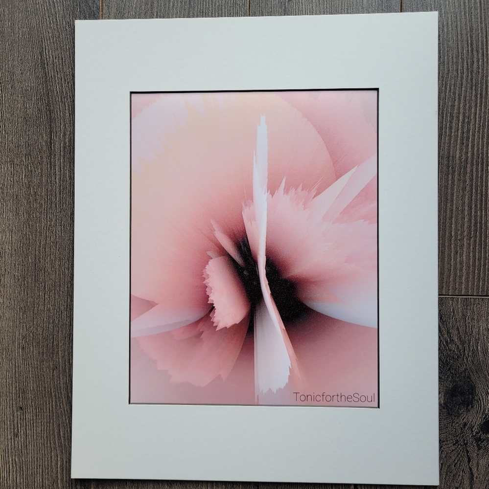 Art Print - Pink Pansy